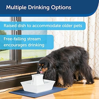 Foto 4 | Foto 4 | Fuente De Agua Petsafe Drinkwell Pagoda Ceramic 2.1l - Venta Internacional.