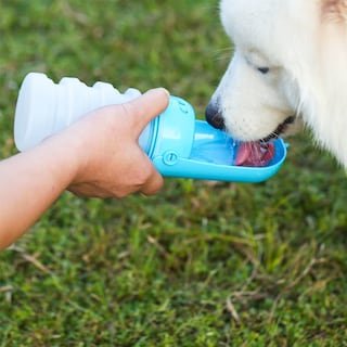 Foto 1 | Foto 1 | Botella De Agua Portátil Para Mascotas Huoguo Travel Con Capacidad De 300 Ml - Venta Internacional.
