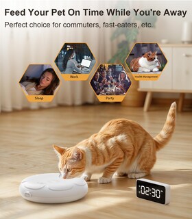 Foto 2 | Foto 2 | Comedero Automático Para Gatos Casfuy Inalámbrico Con Bandeja De Acero Inoxidable - Venta Internacional.