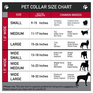 Foto 3 | Foto 3 | Venta Internacional - Collar Con Hebilla Cinturón De Seguridad para Perro