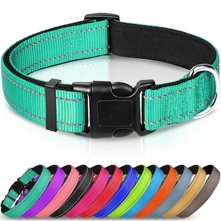 Foto 1 | Foto 1 | Collar Para Perro Joytale De Nailon Acolchado De Neopreno Reflectante, Color Verde Azulado - Venta Internacional.