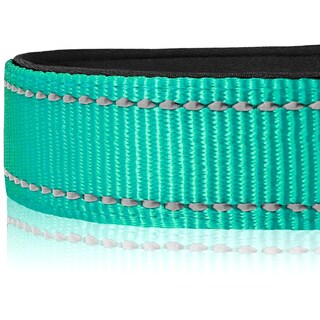 Foto 4 | Foto 4 | Collar Para Perro Joytale De Nailon Acolchado De Neopreno Reflectante, Color Verde Azulado - Venta Internacional.