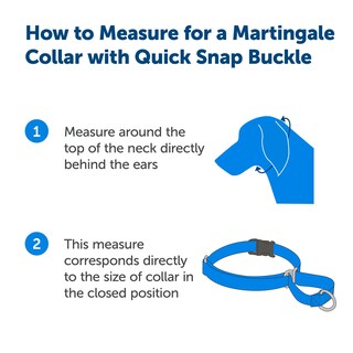 Foto 3 | Foto 3 | Collar Martingale Petsafe con Hebilla Quick Snap Azul M - Venta Internacional