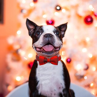 Foto 6 | Foto 6 | Collar Para Perro, Elegante Diseño De Tartán Navideño Con Forma De Coleta - Venta Internacional.