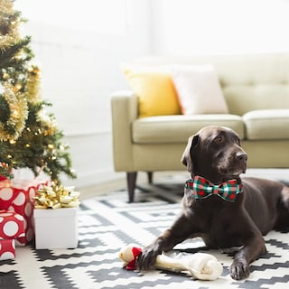 Foto 5 | Foto 5 | Collar Para Perro, Elegante Diseño De Tartán Navideño Con Forma De Coleta - Venta Internacional.