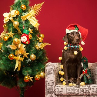 Foto 6 | Foto 6 | Collar Para Perro, Elegante Diseño De Tartán Navideño Con Forma De Coleta - Venta Internacional.