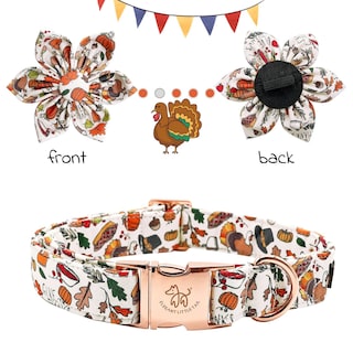 Foto 4 | Foto 4 | Collar Para Perro Elegante Colita Con Tema Floral De Otoño - Venta Internacional.