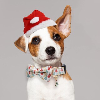 Foto 6 | Foto 6 | Collar Para Perro Faygarsle De Algodón Navideño Con Pajarita Beige Y Dorado - Venta Internacional.