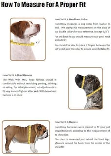 Foto 2 | Foto 2 | Collar Para Perro Hamilton Double Thick Nylon Deluxe Hot Pink - Venta Internacional.
