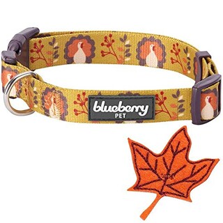 Foto 4 | Foto 4 | Collar Para Perro Blueberry Pet Acción De Gracias, Festival De Otoño  - Venta Internacional.