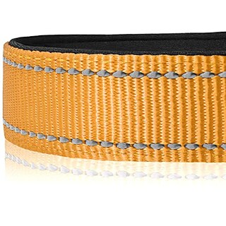 Foto 4 | Foto 4 | Collar Para Perro Joytale De Nailon Acolchado De Neopreno Reflectante, Para Talla Grande - Venta Internacional.
