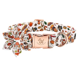 Foto 1 | Foto 1 | Collar Para Perro Elegante Colita Con Tema Floral De Otoño - Venta Internacional.