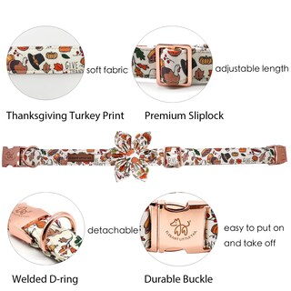 Foto 2 | Foto 2 | Collar Para Perro Elegante Colita Con Tema Floral De Otoño - Venta Internacional.