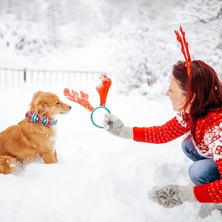 Foto 5 | Foto 5 | Collar Para Perro, Elegante, Con Forma De Cola Pequeña, Navidad Y Nieve Con Lazo, Xl - Venta Internacional.