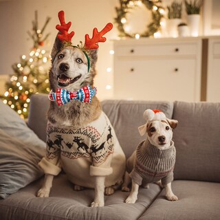 Foto 6 | Foto 6 | Collar Para Perro, Elegante, Con Forma De Cola Pequeña, Navidad Y Nieve Con Lazo, Xl - Venta Internacional.