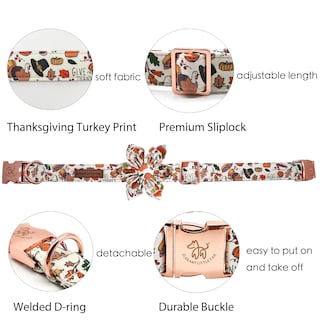 Foto 2 | Foto 2 | Collar Para Perro Elegante Colita Con Tema Floral De Otoño - Venta Internacional.