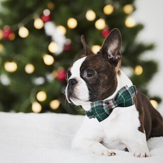 Foto 5 | Foto 5 | Collar Para Perro, Elegante Diseño De Tartán Navideño Con Forma De Coleta - Venta Internacional.
