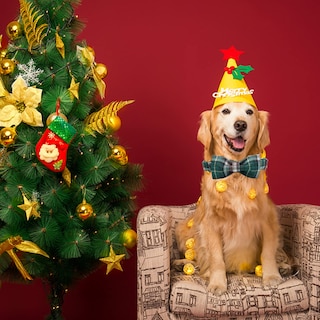 Foto 6 | Foto 6 | Collar Para Perro, Elegante Diseño De Tartán Navideño Con Forma De Coleta - Venta Internacional.