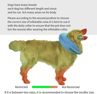 Foto 4 | Foto 4 | Collar Inflable De Recuperación En Forma De Cono Para Perros Huoguo Para Talla D Extra Grande - Venta Internacional.