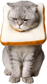 Foto 5 | Foto 5 | Collar Cónico Ajustable Con Recuperación Suave Para Cuello De Gato De Menos De 30 Cm - Venta Internacional.