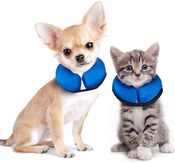 Foto 5 | Foto 5 | Collar Inflable En Forma De Cono De Recuperación Para Perros Y Gatos - Venta Internacional.
