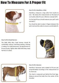 Foto 2 | Foto 2 | Collar Para Perro Hamilton Ajustable De Nailon Rosa Intenso De 7 A 12 Cm - Venta Internacional.