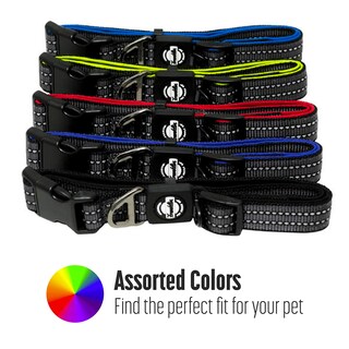 Foto 7 | Foto 7 | Collar Para Perro Franklin Sports De Neopreno Reflectante Pequeño Azul - Venta Internacional