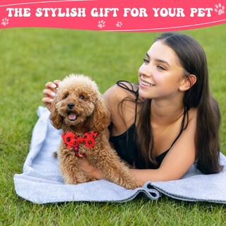 Foto 4 | Foto 4 | Juego De Corbatas Para Perros Reginary, 100 Piezas, Para Perros Pequeños Y Medianos - Venta Internacional.