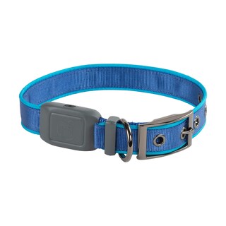 Foto 1 | Foto 1 | Collar para Perro Nite Ize - Venta Internacional
