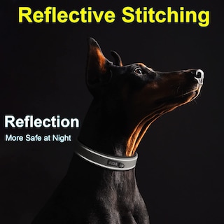 Foto 5 | Foto 5 | Collar Para Perros Fida Heavy Duty, Acolchado De Neopreno, Para Razas Medianas - Venta Internacional.
