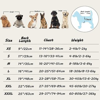 Foto 2 | Foto 2 | Traje De Recuperación Quirúrgica Para Perros Huoguo Anti-lick Xs-3xl - Venta Internacional.
