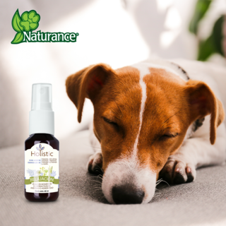 Foto 4 | Foto 4 | Naturance Holistic Kit De Aromaterapia De Relajación Para Perro Con 60 Mililítros