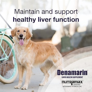 Foto 2 | Foto 2 | Suplemento Denamarin Nutramax Laboratories para Perros Grandes - Venta Internacional