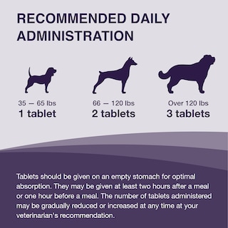 Foto 3 | Foto 3 | Suplemento Denamarin Nutramax Laboratories para Perros Grandes - Venta Internacional