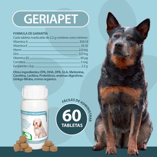 Foto 5 | Foto 5 | Geriapet 60