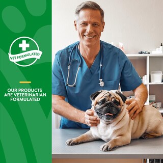 Foto 6 | Foto 6 | Suplemento Naturvet No Scoot para Perros 155 g - Venta Internacional