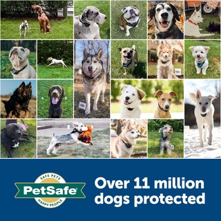 Foto 6 | Foto 6 | Detector De Roturas Petsafe: Cerca Enterrada, Fácil - Venta Internacional.