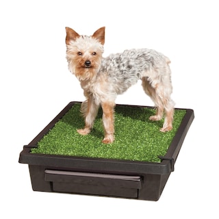 Foto 1 | Foto 1 | Orinal Portátil Para Perros Petsafe Para Mascotas Pequeñas - Venta Internacional.