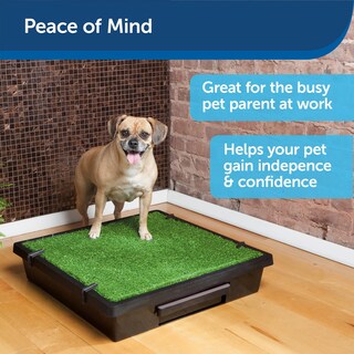 Foto 2 | Foto 2 | Orinal Portátil Para Perros Petsafe Para Mascotas Pequeñas - Venta Internacional.