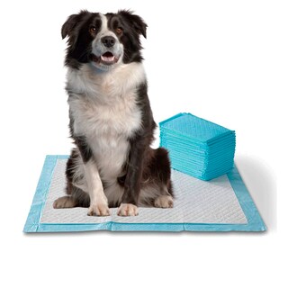 Foto 2 | Foto 2 | Paquete 100 Pañal Absorbente Tapete Entrenador Para Perro 30x45 Cm (estándar)