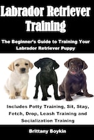 Reserve La Guía Para Principiantes De Entrenamiento De Labradores Retriever - Venta Internacional.