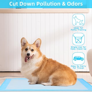 Foto 3 | Foto 3 | Almohadilla De Entrenamiento Fluffydream Superabsorbente E Impermeable Para Perros