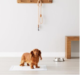 Foto 4 | Foto 4 | Xtellar Paños Absorbentes Ultra Eficientes Para Entrenamiento De Cachorros Y Mascotas Adultas 50 Paquete 56x56 Cm