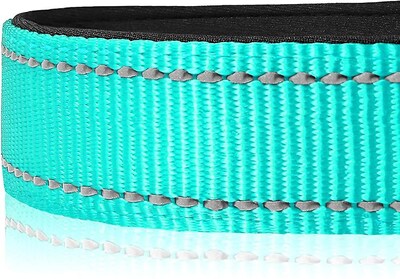 Foto 3 | Foto 3 | Collar De Perro Huoguo De Neopreno Reflectante De Nailon Para Perros X-small - Venta Internacional.