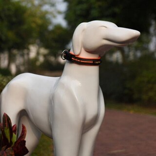 Foto 1 | Foto 1 | Collar Con Tracción Para Mascotas Huoguo, Jaula Para Pájaros - Venta Internacional.