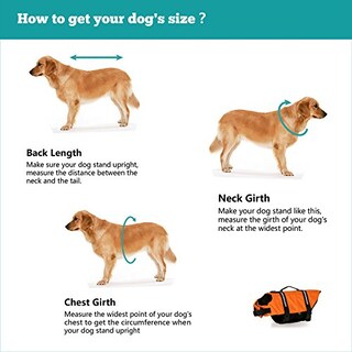 Foto 4 | Foto 4 | Traje De Baño De Seguridad Para Perros Haocoo Saver Con Chaleco Salvavidas Para Perros, Color Rosa - Venta Internacional.