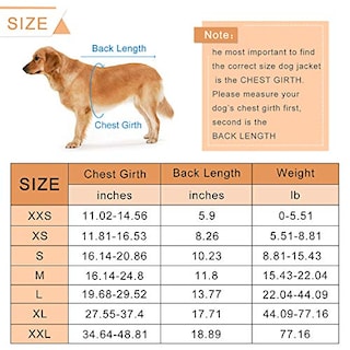 Foto 5 | Foto 5 | Traje De Baño De Seguridad Para Perros Haocoo Saver Con Chaleco Salvavidas Para Perros, Color Rosa - Venta Internacional.