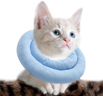 Foto 4 | Foto 4 | Collar En Forma De Cono De Gato Ajustable, Acolchado Y Suave, De Poliéster Huoguo - Venta Internacional.