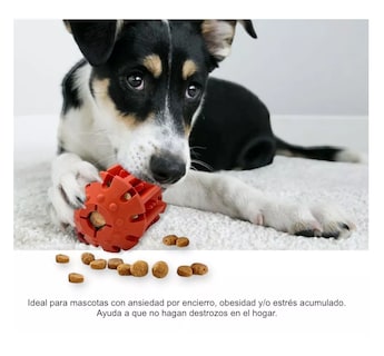Foto 5 | Foto 5 | Pelota Belug Naranja para Mascota