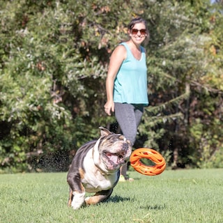 Foto 3 | Foto 3 | Juguete Fetch Toy Chuckit Air Fetch Wheel Para Perros, Color Naranja - Venta Internacional.